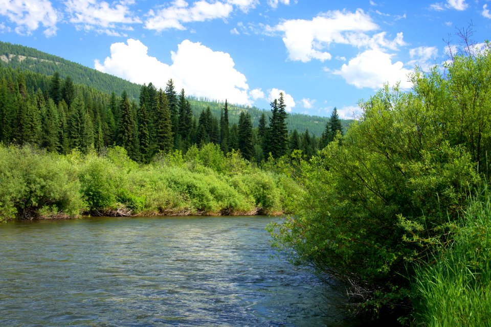 The PNT crosses the Yaak River on the Kootenai National Forest