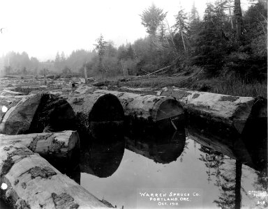209 Spruce Logs in Log Pond photo