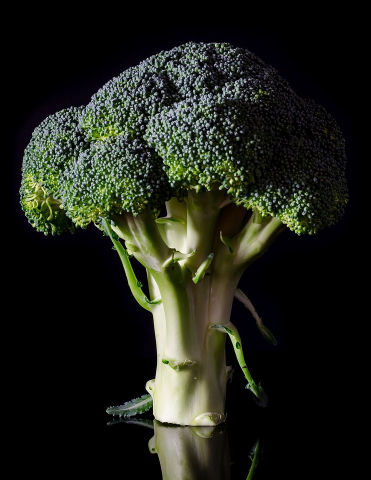 Healthy vegetable diet