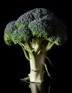Healthy vegetable diet
