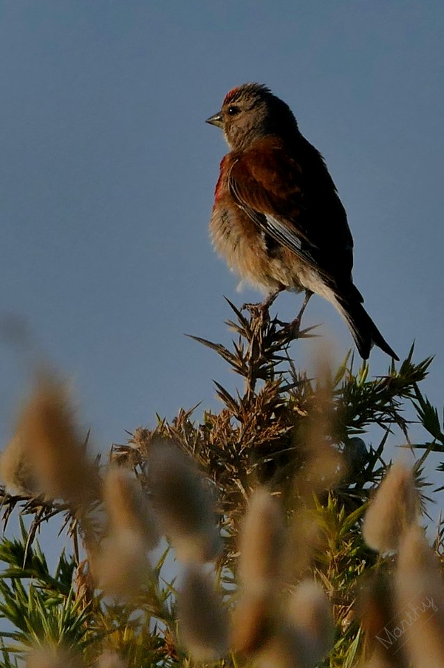 P1050748