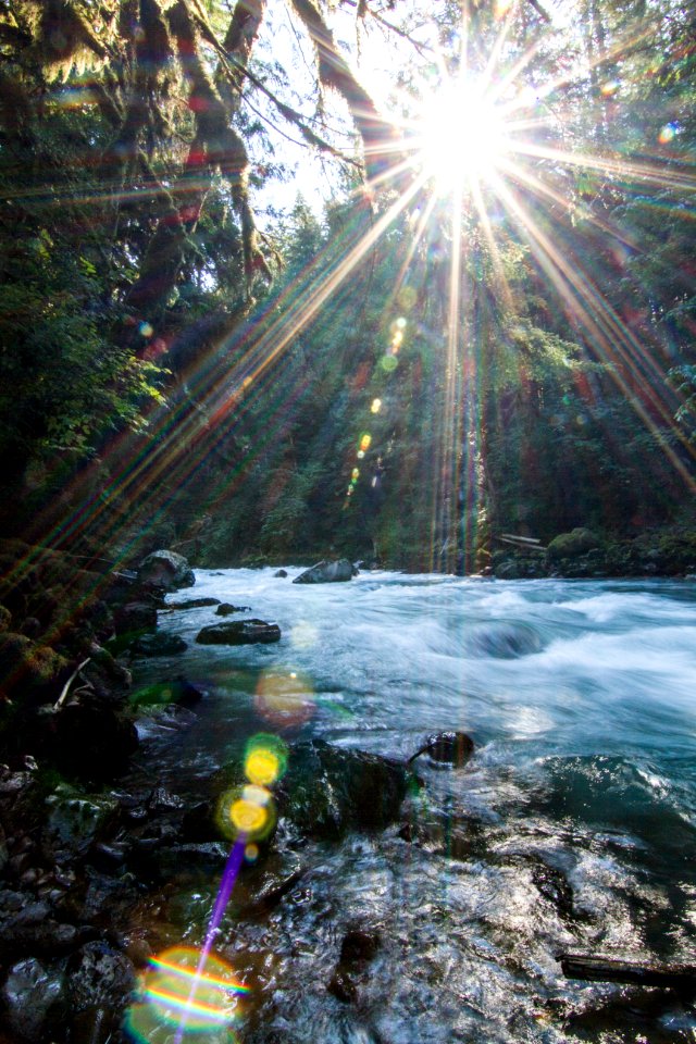 Sunburst along River, Mt Baker Snoqualmie National Forest