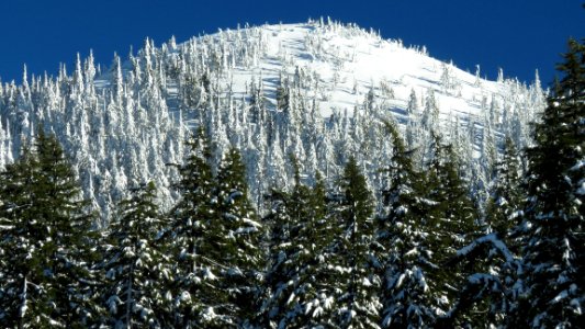 Deschutes National Forest Tumalo Mtn. winter