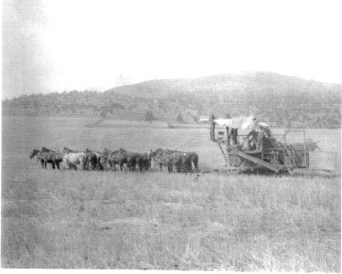 JUNIPER BUTTE H 1910 Farming NE of Juniper photo