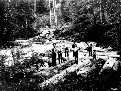 16186 Logs Ready for Splash, Mason County, WA 1899