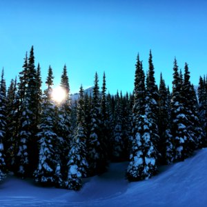 Winter on the Forest at Crystal Mountain, Mt Baker Snoqualmie National Forest