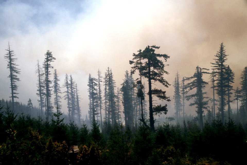 138 Rogue River-Siskiyou National Forest Biscuit Fire