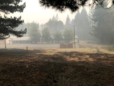Timber Lake Job Corps after Riverside Fire, Mt. Hood National Forest