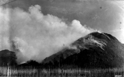 385211 Spud Fire, Columbia NF, 1937 WA photo