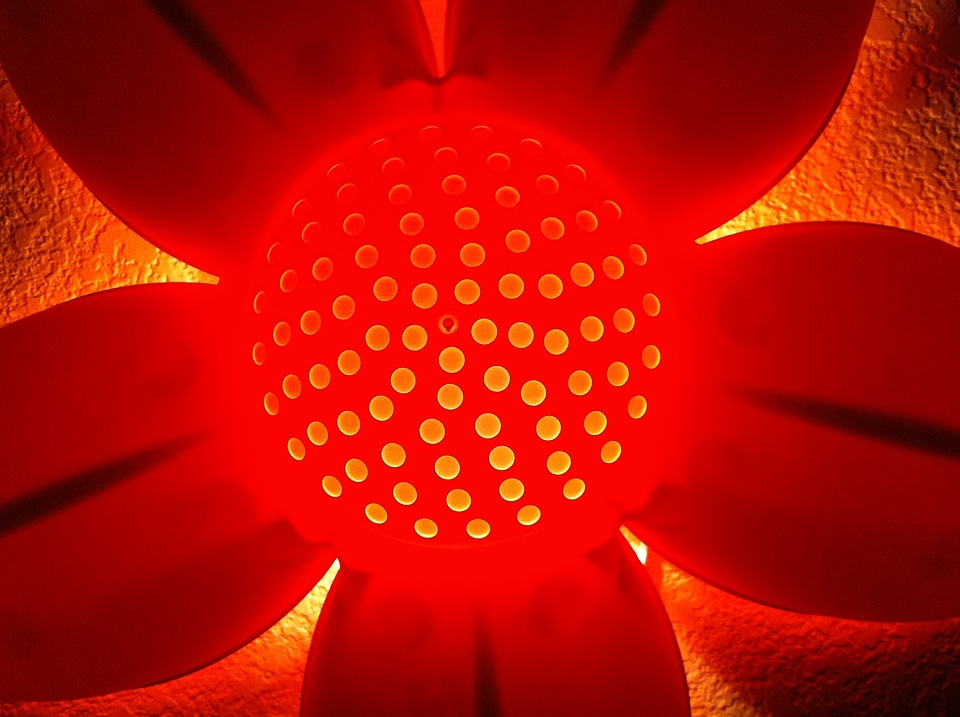 Flower pink glow