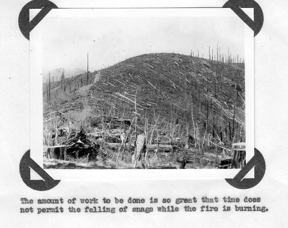 Snag Falling Area