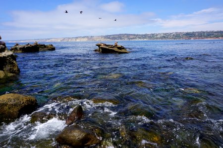 La Jolla Cove, CA (Unedited)