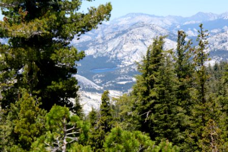 Yosemite National Park, California