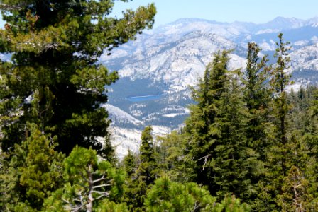 Yosemite National Park, California photo