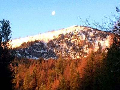 White Mountain on the Colville National Forest