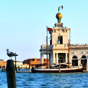 Venise 2015- 109 photo
