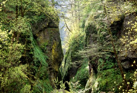 Oneonta Gorge, Columbia River Gorge National Scenic Area.jpg