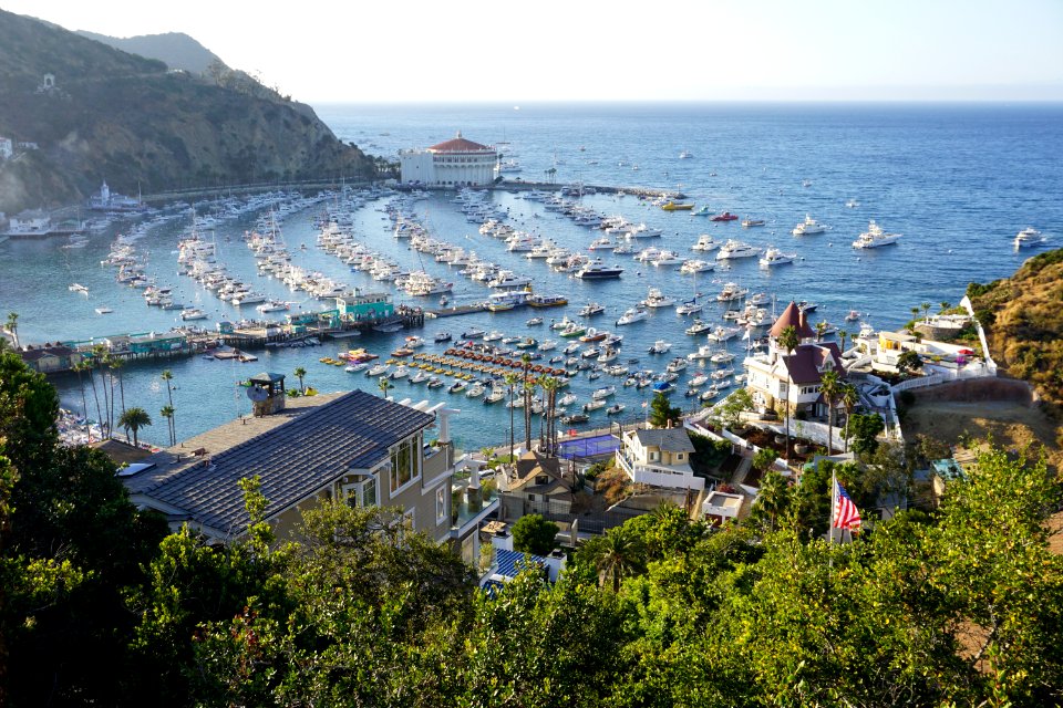 Catalina Island, CA (Unedited)