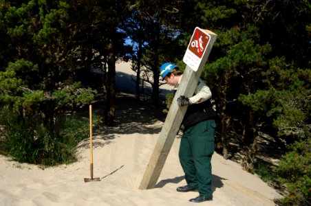 Forest Service Employee installing Sign, Oregon Dunes, Siuslaw National Forest
