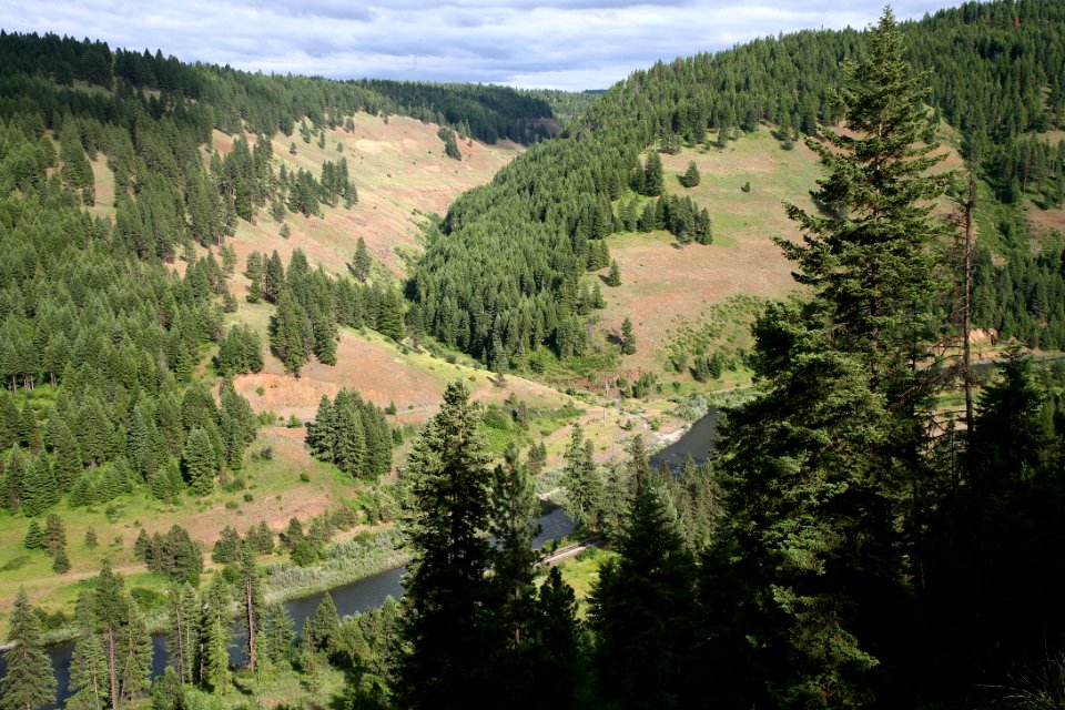 Grande Ronde River, Umatilla National Forest