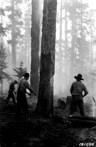 191038 Fighting Summit Creek Fire photo