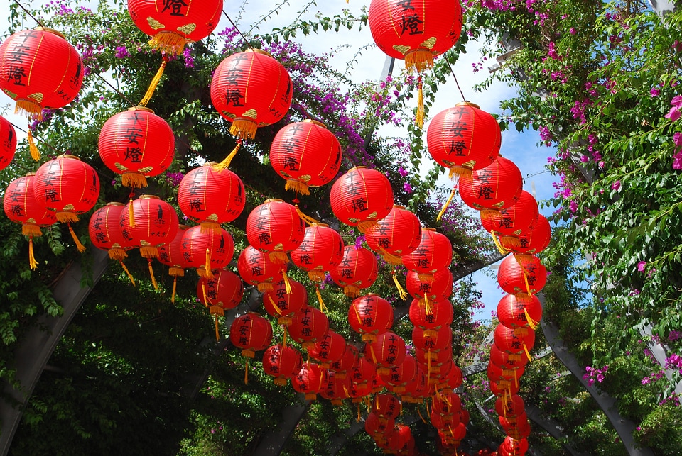 Traditional celebration chinese new year photo