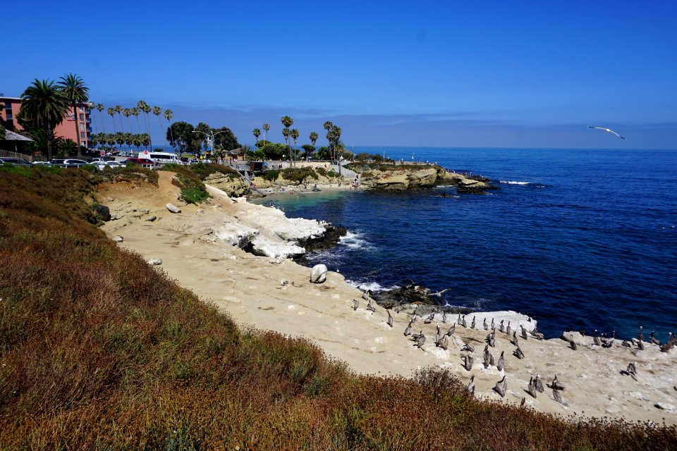 La Jolla Cove, CA (Unedited)