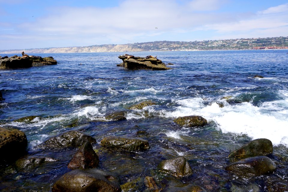 La Jolla Cove, CA (Unedited)