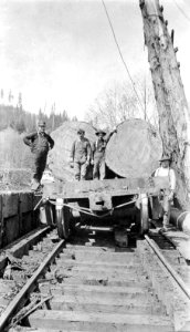 Portland Lumber Company Log Train Ready for Unloading
