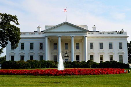 White House, Washington D.C. photo