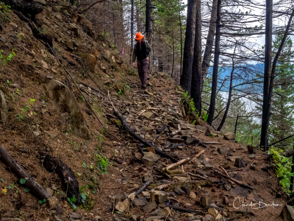 Rock slide damage along Larch Mountain Trail. Photo courtesy of Trailkeepers of Oregon.