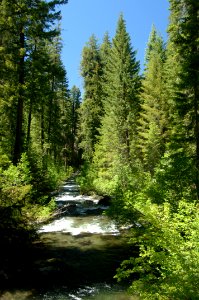 Upper Rogue River, Rogue River Siskiyou National Forest photo