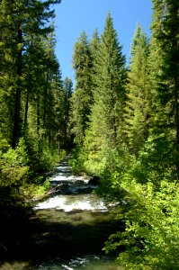 Upper Rogue River, Rogue River Siskiyou National Forest