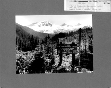 495916 Mt. Baker Plantation Sign, Mt. Baker NF, WA 1960 photo