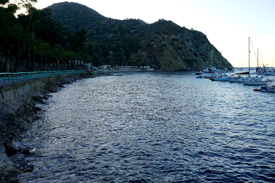 Catalina Island, CA (Unedited)