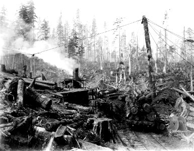 95417 Loading Logs on RR Car, Snoqualmie NF, WA photo