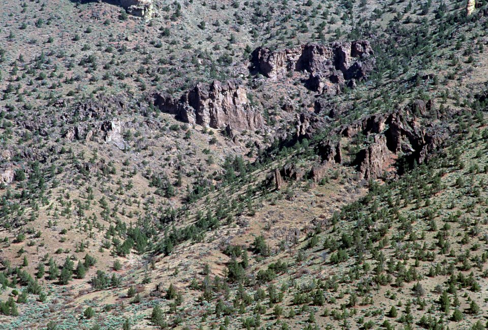 Crooked River National Grassland, Ochoco National Forest.jpg