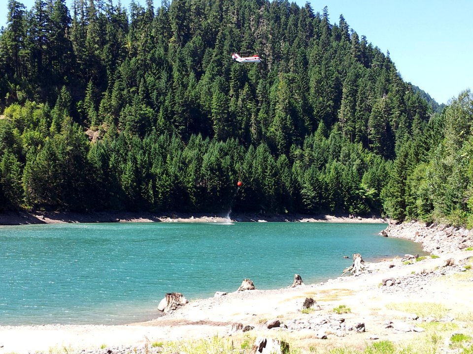 Landes Creek Fire-105, Willamette National Forest