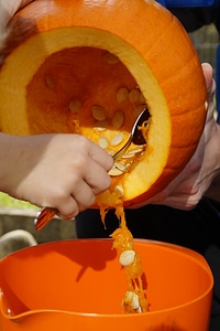 Orange vegetables hollow out photo