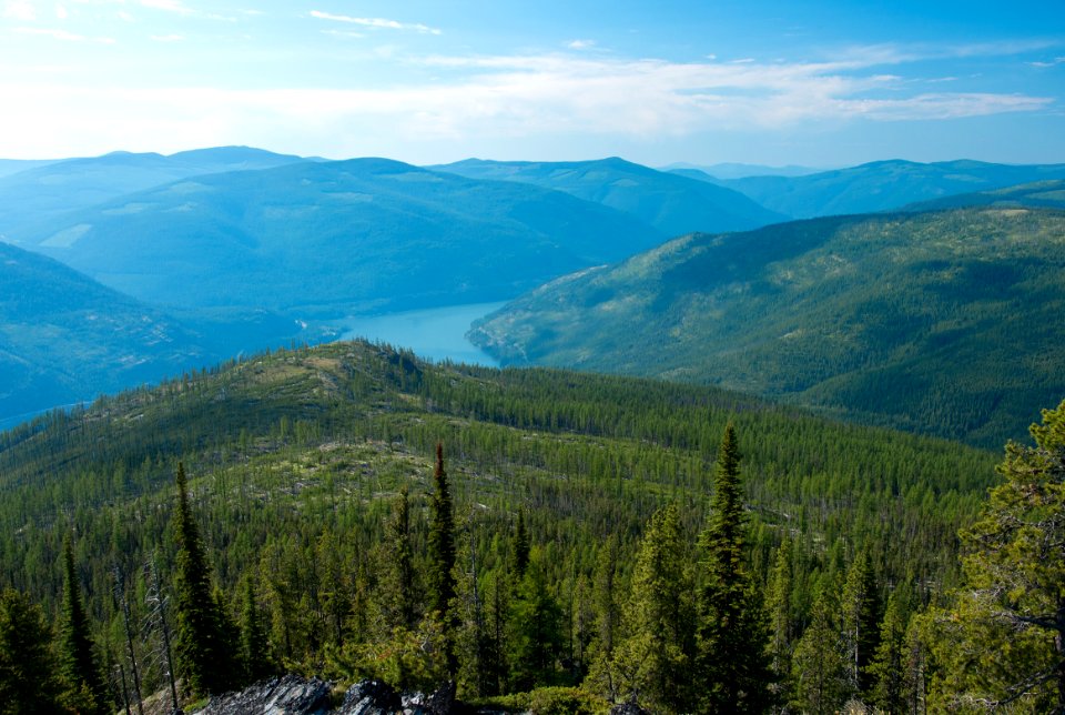 Lake Koocanusa from the Pacific Northwest Trail on Webb Mountain