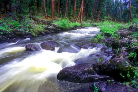 Ochoco National Forest Upper Crooked River