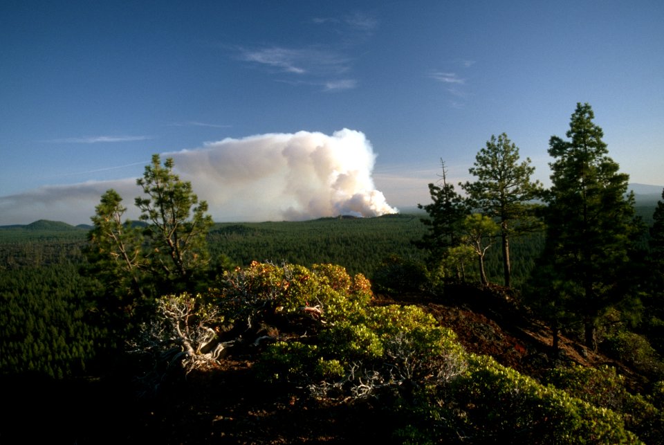 504 Smoke column prescribed fire, Deschutes National Forest