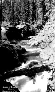 4136 Gorge at Silver Falls, Ohanapecosh, WA - Ellis