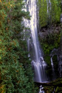 Willamette National Forest, Proxy Falls-3.jpg