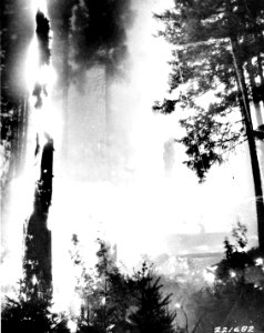 221682 Rock Fire, Columbia NF, WA 1927 photo