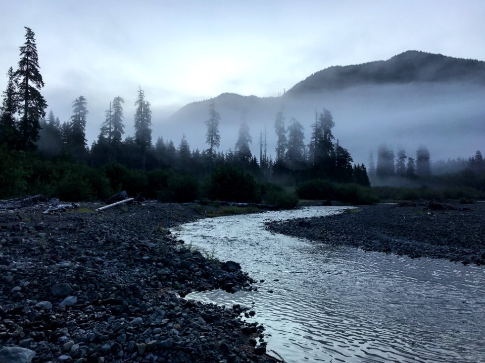 Olympic Misty Wynoochee River. Photo by Tharon Snuggs, USFS photo.