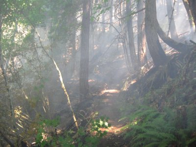 Lightning Fires at Buckhead Mountain-104, Willamette National Forest photo