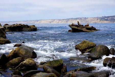 La Jolla Cove, CA (Unedited)