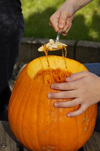 Orange vegetables hollow out photo