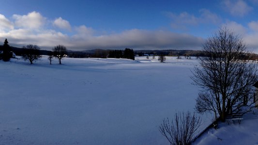 Winter